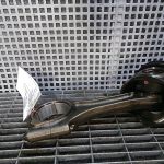 Biela motor