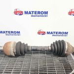 Planetara fata stanga