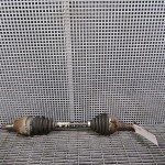 Planetara fata stanga