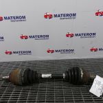 Planetara fata stanga