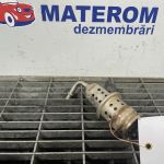 Injector ad blue