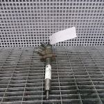 Injector