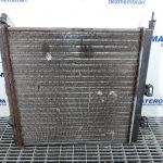 Radiator motor