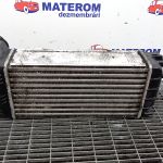 Radiator intercooler