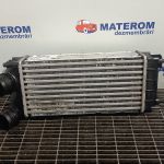 Radiator intercooler