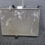 Radiator motor