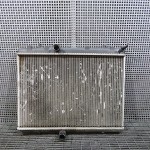 Radiator motor
