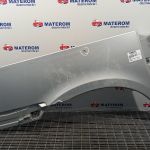 Ornament aripa spate