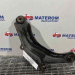 Brat fata inferior dreapta