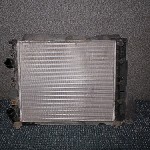 Radiator motor