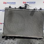 Radiator motor