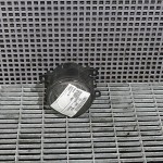 Halogen dreapta