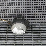 Halogen dreapta