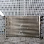 Radiator motor