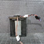 Radiator incalzire