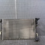 Radiator motor
