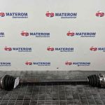 Planetara fata dreapta