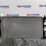Radiator motor