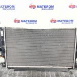 Radiator motor