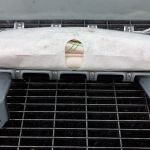 Capsula aer genunchi