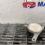 Motoras clapeta incalzire