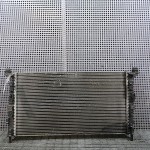 Radiator motor