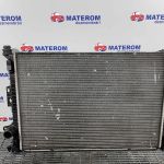 Radiator motor