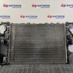 Radiator motor