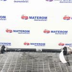 Planetara spate dreapta