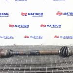 Planetara fata dreapta