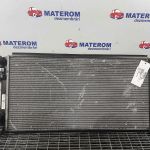 Radiator motor