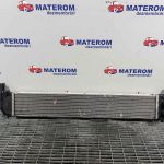 Radiator motor