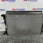 Radiator motor