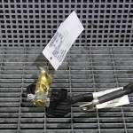 Borna acumulator