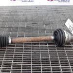 Planetara fata stanga