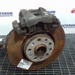 Disc frana fata