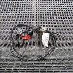 Borna acumulator