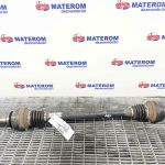 Planetara spate dreapta