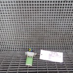 Reostat